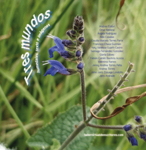 Libro álbum Tres mundos: humedales, texto e imágenes.